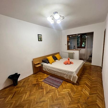 Miha Modern And Central Apartament Malul Muresului Арад Экстерьер фото