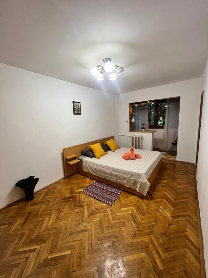 Miha Modern And Central Apartament Malul Muresului Арад Экстерьер фото