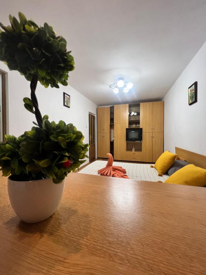 Miha Modern And Central Apartament Malul Muresului Арад Экстерьер фото