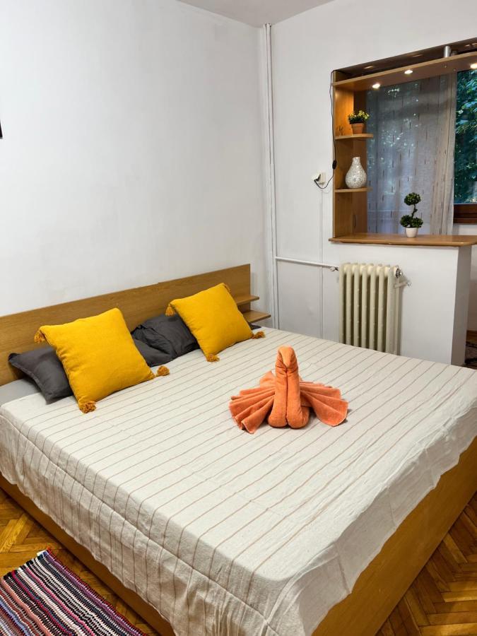 Miha Modern And Central Apartament Malul Muresului Арад Экстерьер фото