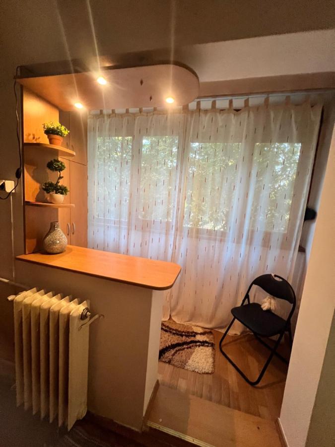Miha Modern And Central Apartament Malul Muresului Арад Экстерьер фото
