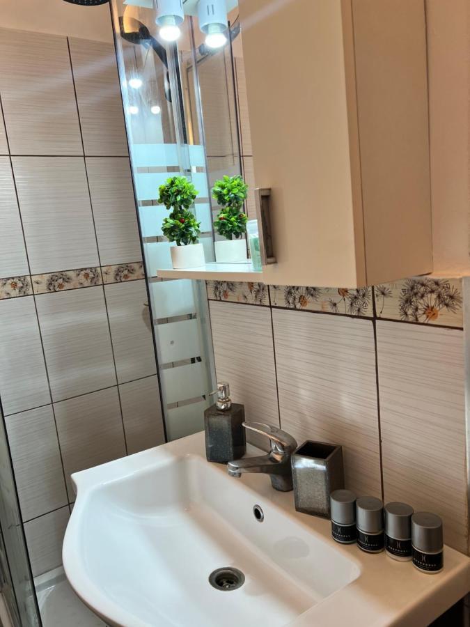 Miha Modern And Central Apartament Malul Muresului Арад Экстерьер фото